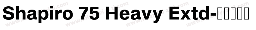 Shapiro 75 Heavy Extd字体转换